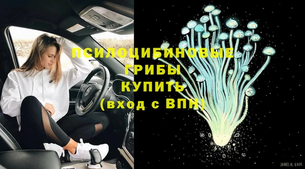 ГАЛЛЮЦИНОГЕННЫЕ ГРИБЫ Алексин