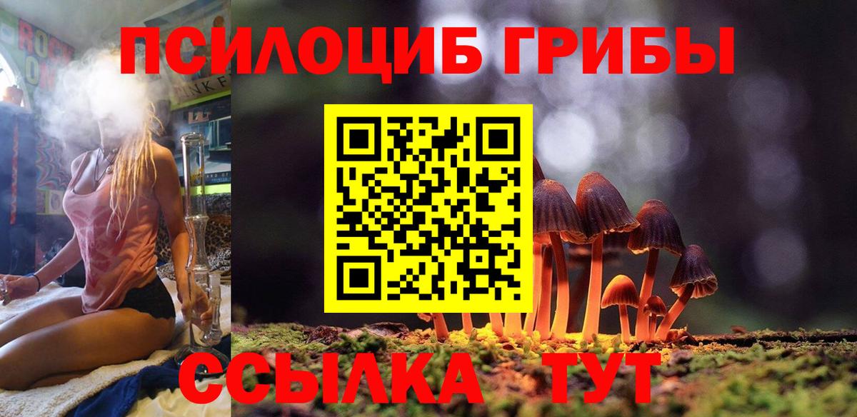 Галлюциногенные грибы Psilocybe  как найти   Вход с VPN  Краснознаменск  Галлюциногенные грибы MAGIC MUSHROOMS 