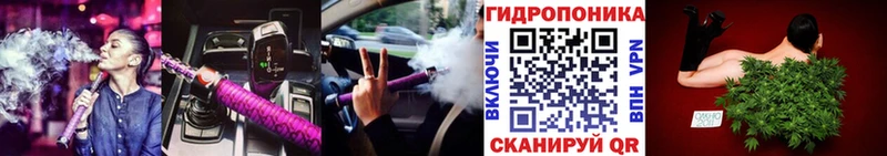 Бошки марихуана AK-47  darknet клад  Краснознаменск 